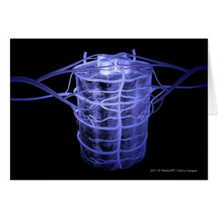 Cartão Artérias que cercam a parte da coluna espinal