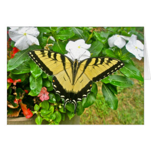 Cartão Artigos da borboleta de Swallowtail do casamento