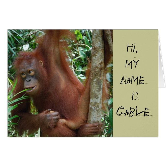 Cartão Artistas animais (Frente horizontal)