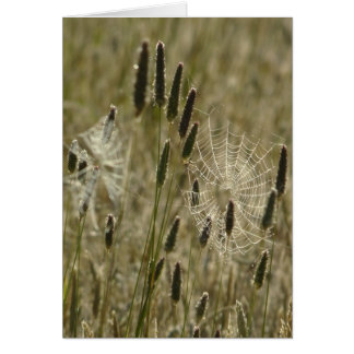 Cartão Artistas da Natureza