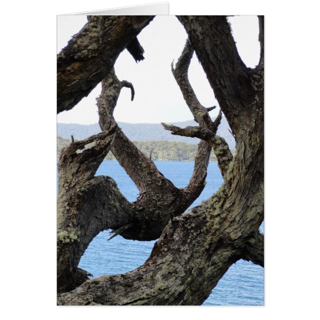 Cartão Árvore (Frente)