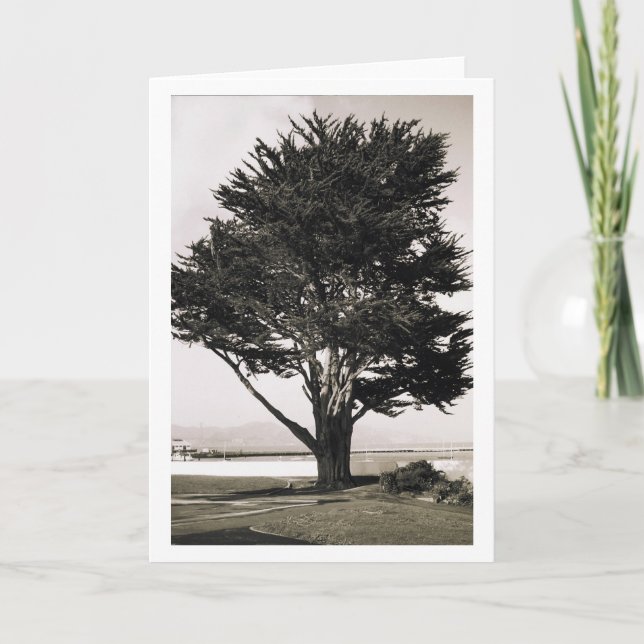 Cartão Árvore (Frente)