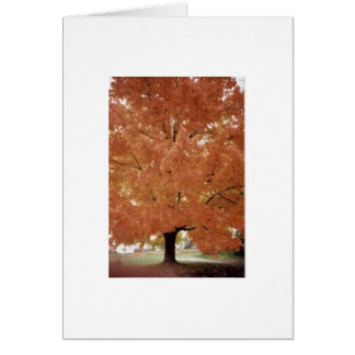 Cartão Árvore alaranjada