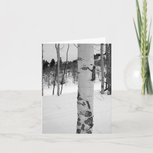 Cartão Árvore Aspen do Colorado (Frente)