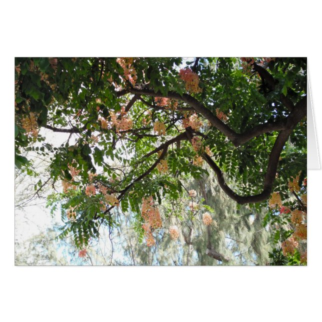 Cartão Árvore chá (Frente horizontal)