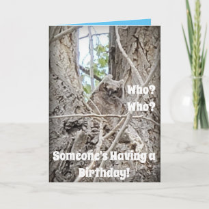 Cartão Árvore com coruja-bebê descendo pelas ramificaç