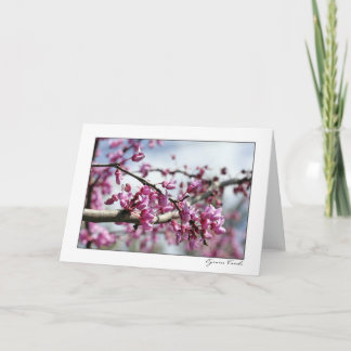 Cartão Árvore cor-de-rosa da flor