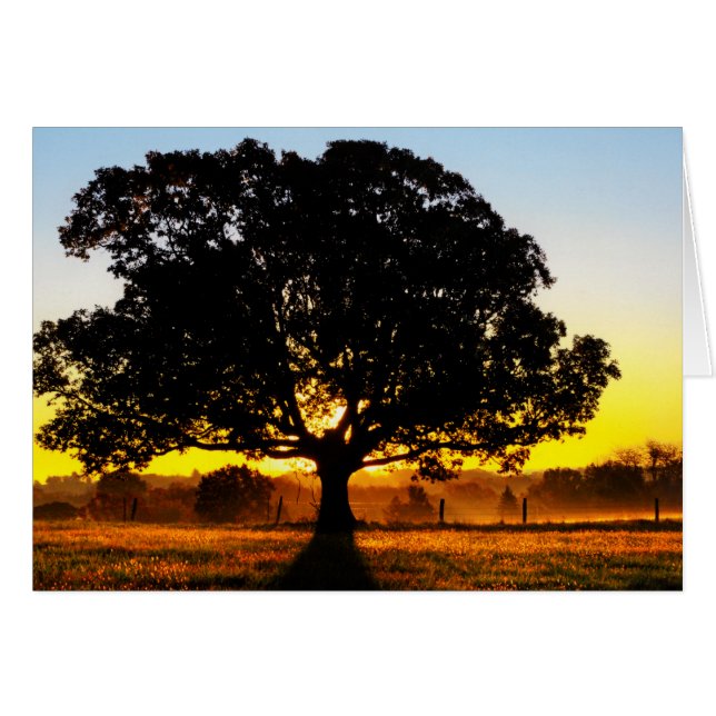 Cartão Árvore da Manhã (Frente Horizontal)