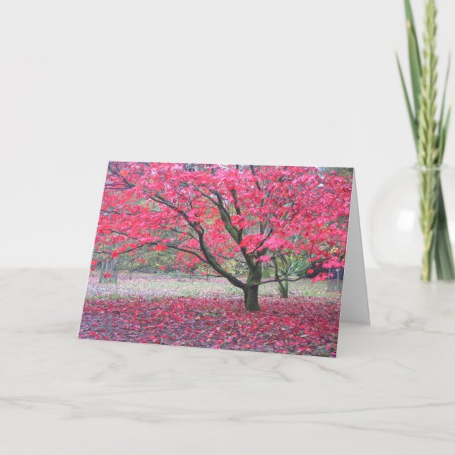 Cartão Árvore da queda (Frente)