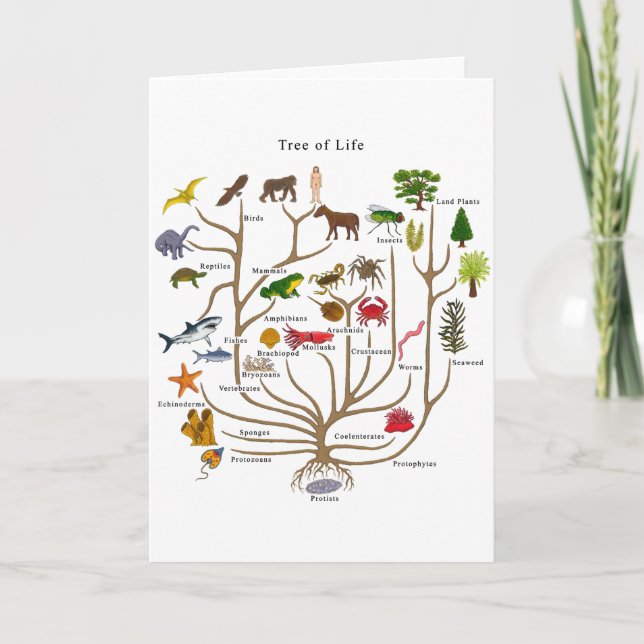 Cartão Árvore Da Vida (Frente)