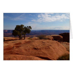 Cartão Árvore das Rochas Vermelhas I em Canyonlands