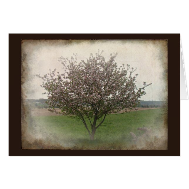 Cartão Árvore de Apple na flor (Frente Horizontal)