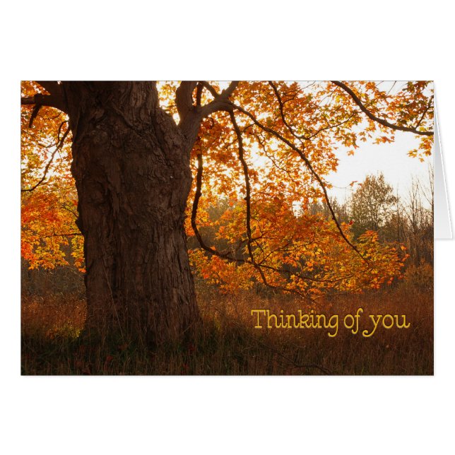 Cartão Árvore de Carvalho Antigo (Frente Horizontal)