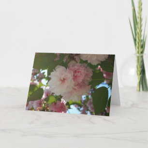Cartão Árvore de cereja I Primavera Floral com duas flor
