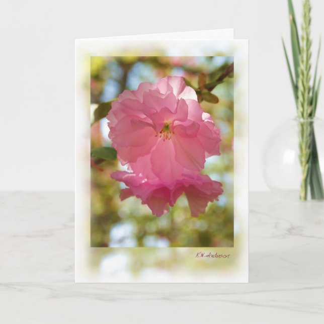 Cartão Árvore de cereja (Kwanzan) (Frente)