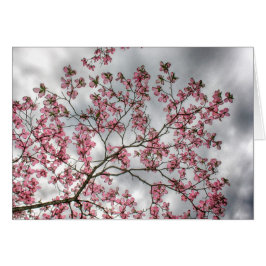 Cartão Árvore de Dogwood cor-de-rosa no primavera