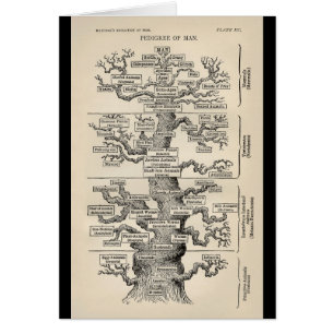 Cartão Árvore de Ernst Haeckel a "de vida "