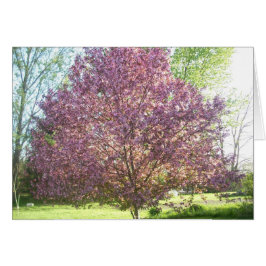 Cartão Árvore de maçã-caranguejo em Sangue