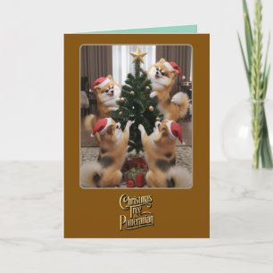 Cartão Árvore de Natal da Pomerânia