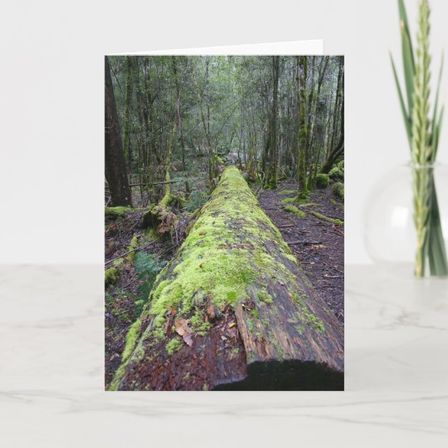 Cartão Árvore de Tassie (Frente)