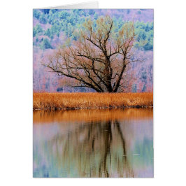 Cartão Árvore de transição