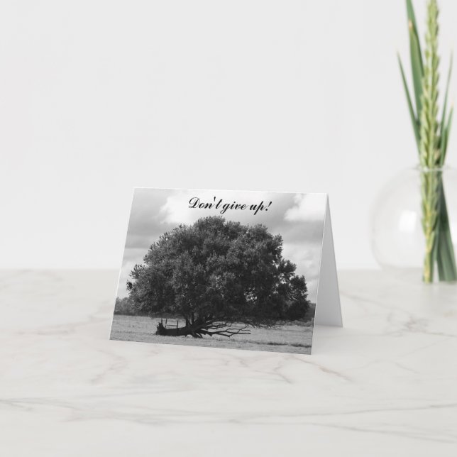 Cartão Árvore de vida (Frente)