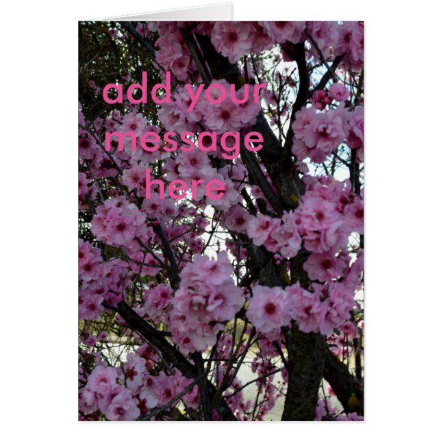 Cartão Árvore do Flor de Primavera rosa, (Frente)