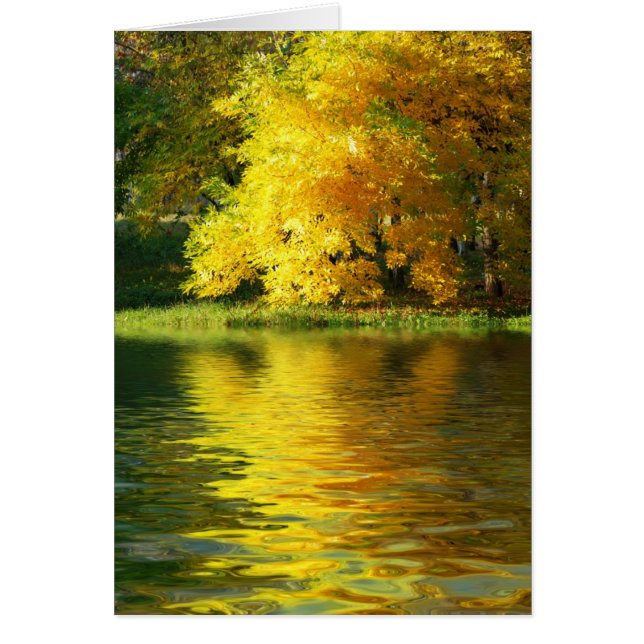 Cartão Árvore do outono na floresta com reflexão (Frente)