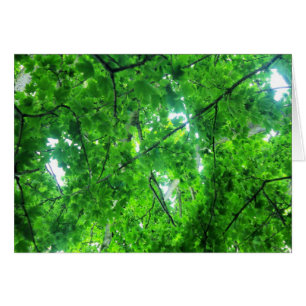 Cartão Árvore frondosa