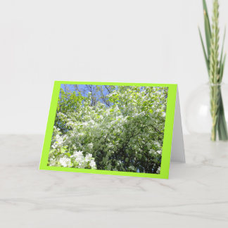 Cartão Árvore Hawthorn na Placa de Nota de Vazio da Flor