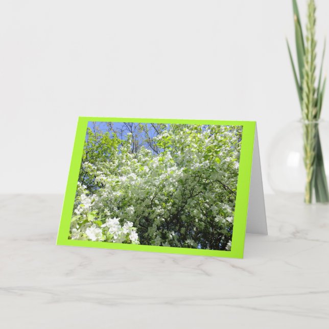 Cartão Árvore Hawthorn na Placa de Nota de Vazio da Flor (Frente)