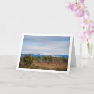 Cartão Árvore Laranja Mandarina e Montanhas Snowy