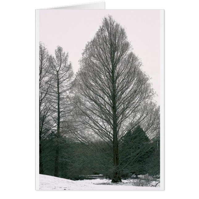 Cartão Árvore - monte NYC da onda (Frente)