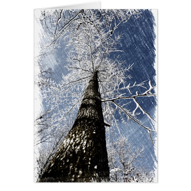 Cartão Árvore nevado (Frente)