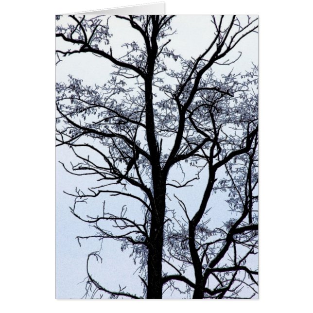 Cartão Árvore no inverno (Frente)
