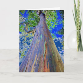 Cartão Árvore Rainbow Eucalyptus