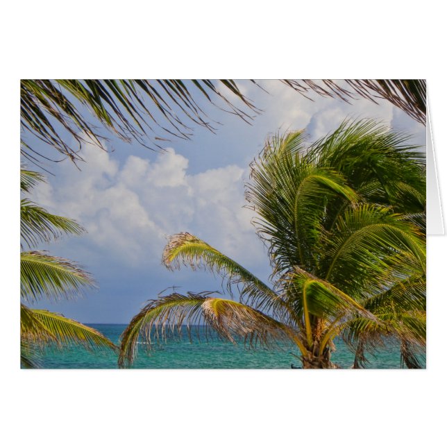 Cartão Árvore Tropical Palm Framada (Frente Horizontal)