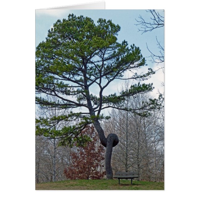 Cartão Árvore twittada (Frente)