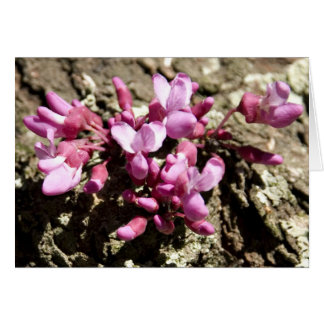 Cartão Árvore vermelha do botão