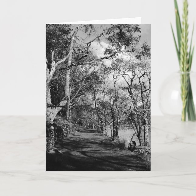 CARTÃO ÁRVORES (Frente)