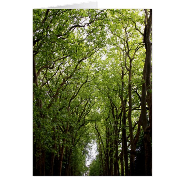 Cartão Árvores (Frente)