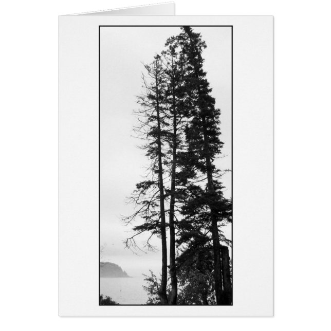Cartão Árvores altas e névoa (Frente)