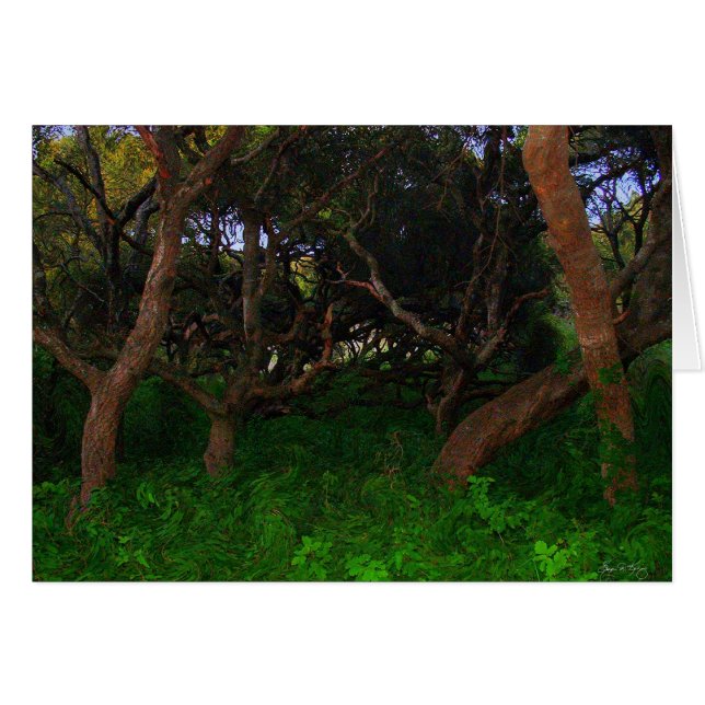 Cartão Árvores Arborizadas (Frente Horizontal)