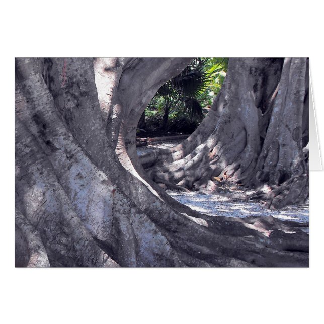 Cartão Árvores Banyan (Frente Horizontal)