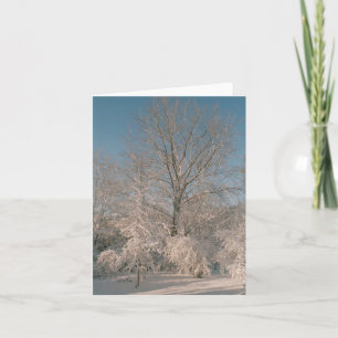 Cartão Árvores carregado com neve Notecards