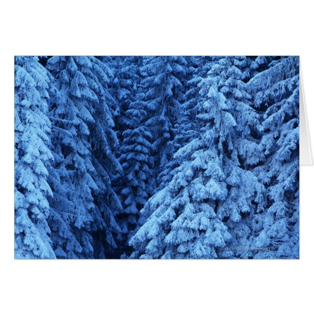 Cartão árvores cobertas de neve (Frente Horizontal)