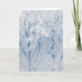 Cartão Árvores cobertas de neve Foto da natureza do inver