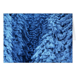 Cartão árvores cobertos de neve