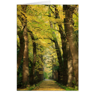 Cartão Árvores de Biloba da nogueira-do-Japão