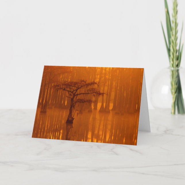 Cartão Árvores de Impressão | Parque Estadual George Smit (Frente)